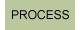 Process